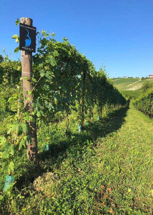 Cascina Bellonuovo Alba  Zewnętrze zdjęcie